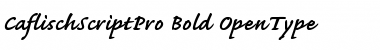 Download Caflisch Script Pro Bold Font