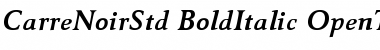 Download Carre Noir Std Bold Italic Font