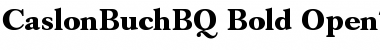 Download Caslon Buch BQ Regular Font