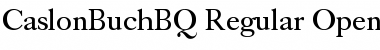 Download Caslon Buch BQ Regular Font