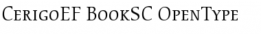 Download CerigoEF BookSC Font