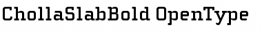 Download ChollaSlab Bold Font