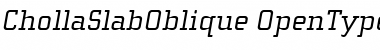 Download ChollaSlab Font