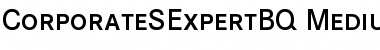 Download Corporate S Expert BQ Font