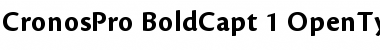 Download Cronos Pro Font