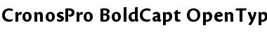 Download Cronos Pro Font