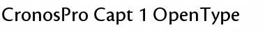 Download Cronos Pro Font
