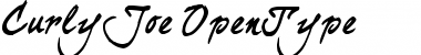 Download curlyJoe Font