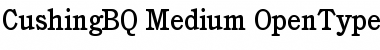 Download Cushing BQ Font