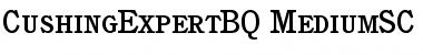 Download Cushing Expert BQ Font