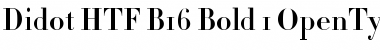 Download Didot HTF-B16-Bold Font