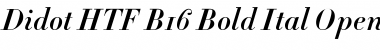 Download Didot HTF-B16-Bold-Ital Font