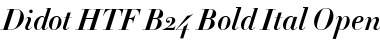 Download Didot HTF-B24-Bold-Ital Font