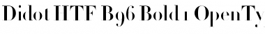 Download Didot HTF-B96-Bold Font