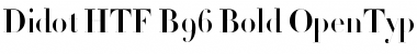 Download Didot HTF-B96-Bold Font