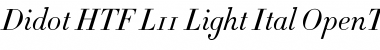 Download Didot HTF-L11-Light-Ital Font