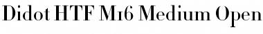 Download Didot HTF-M16-Medium Font