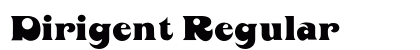 Dirigent Regular preview