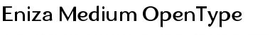 Download Eniza Font