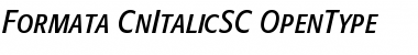 Download Formata Condensed Italic SC Font
