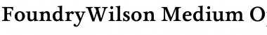 Download FoundryWilson Medium Font