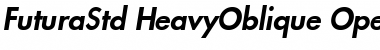 Download Futura Std Heavy Oblique Font