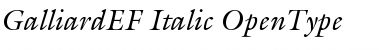 Download GalliardEF-Italic Regular Font