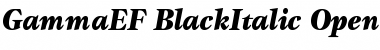 Download GammaEF BlackItalic Font