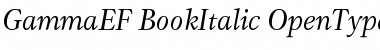 Download GammaEF BookItalic Font