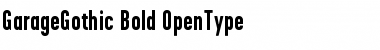 Download GarageGothic-Bold Font