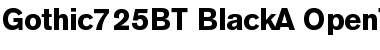 Download Gothic 725 Font