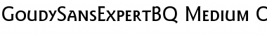 Download Goudy Sans Expert BQ Font