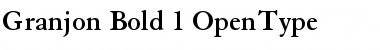 Download Granjon Font
