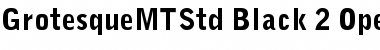 Download Grotesque MT Std Black Font