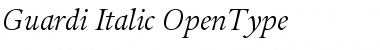 Download Guardi Font