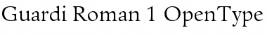 Download Guardi Font
