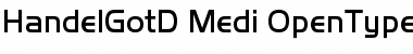 Download Handel Gothic D Font