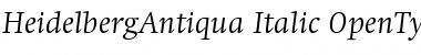 Download HeidelbergAntiqua Italic Font
