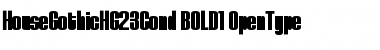 Download HouseGothicHG23Cond BOLD1 Font