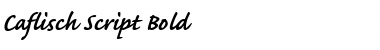 Download CaflischScript Regular Bold Italic Font