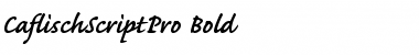 Download Caflisch Script Pro Regular Bold Font