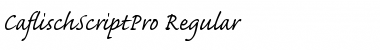 Download Caflisch Script Pro Regular Regular Font