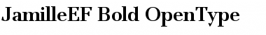 Download JamilleEF-Bold Regular Font