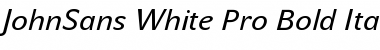 Download JohnSans White Pro Bold Italic Font