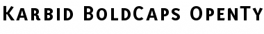 Download Karbid BoldCaps Font
