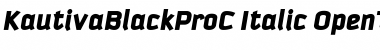 Download KautivaBlackProC Italic Font