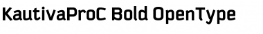 Download KautivaProC Bold Font
