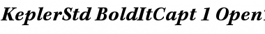 Download Kepler Std Bold Italic Caption Font