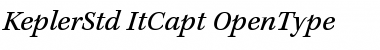 Download Kepler Std Italic Caption Font