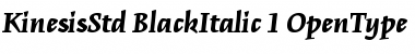 Download Kinesis Std Black Italic Font